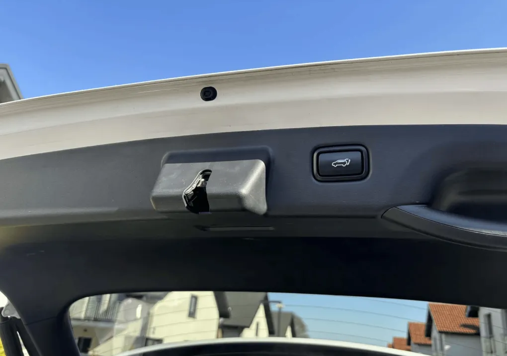Kia Niro EV