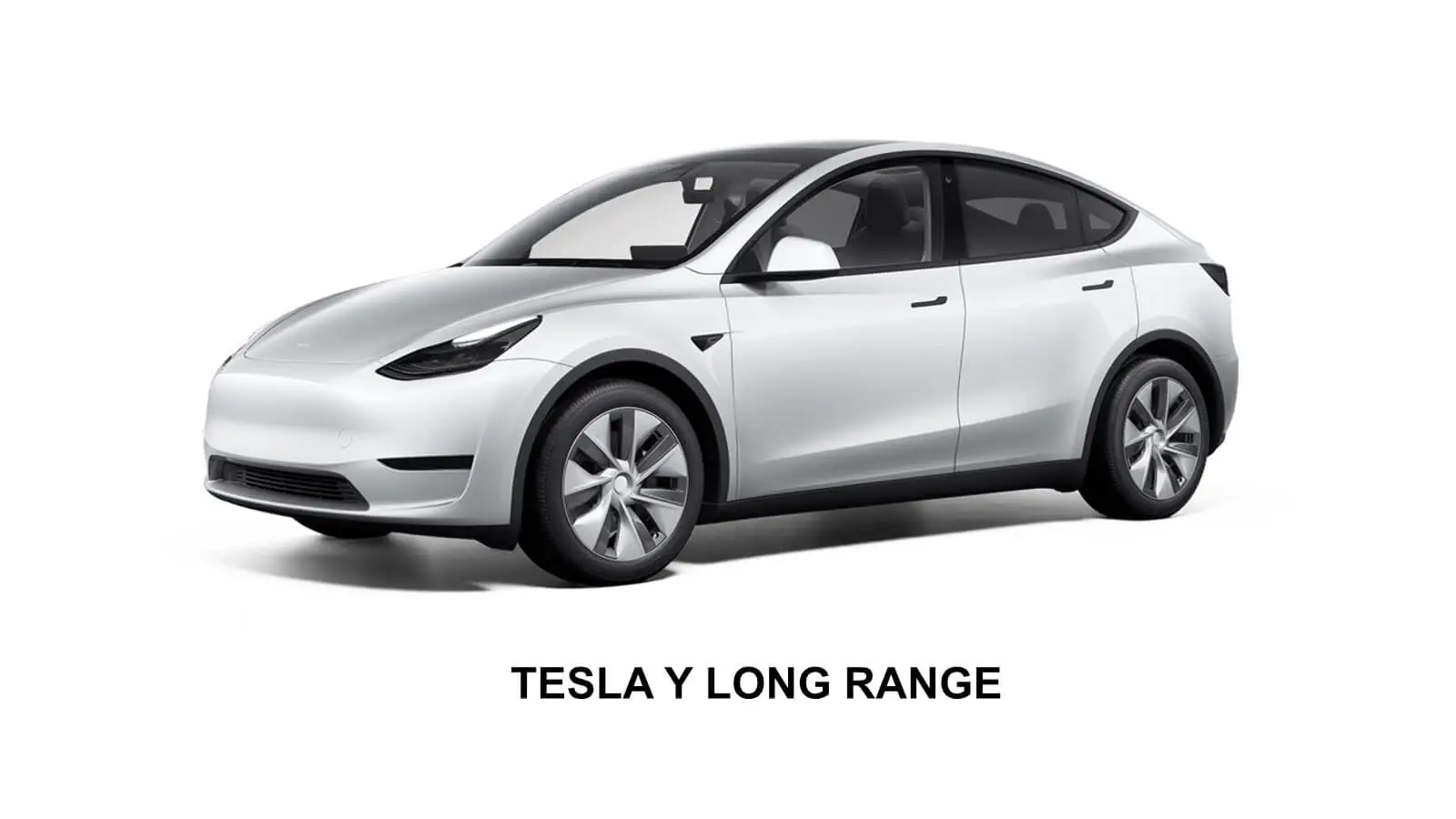 Tesla Model Y Long Range z napędem na tylne koła RWD jest już dostępna w sprzedaży